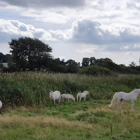 8 Person In Nordborg-by Traum